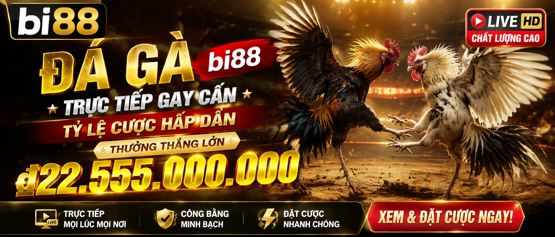Không gian xem Đá Gà trực tiếp trên BI88
